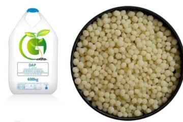 Diammonium Phosphate Fertilizer (DAP)