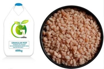 Granular Muriate of potash MOP