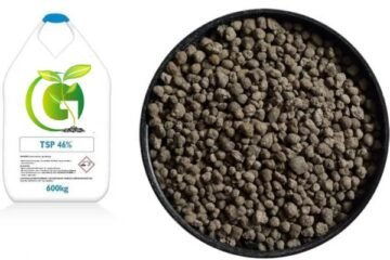 TSP Fertilizer